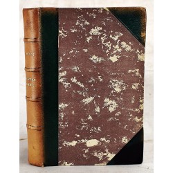 Aurora Dawn, or, The True History of Andrew Reale: Containing a Faithful Account of the Great Riot, Together with the Complete Texts of Michael Wilde's Oration and Father Stanfield's Sermon